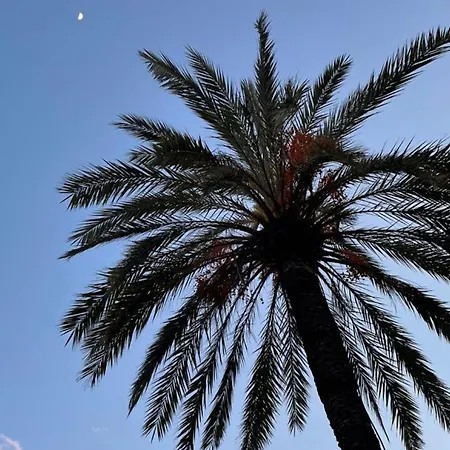 Acqua Di Mare 4* 보르디게라