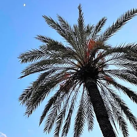 Acqua Di Mare - Bed & Breakfast