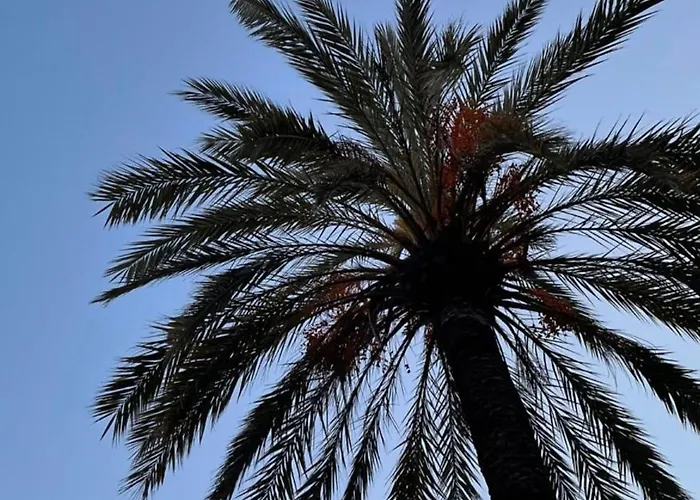 Acqua Di Mare 4* 博尔迪盖拉